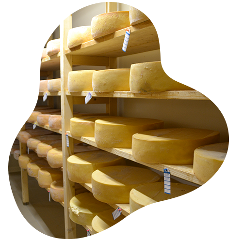 Vente directe de fromage à Saint-Père-en-Retz